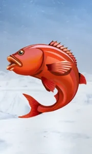 Ice Fishing
